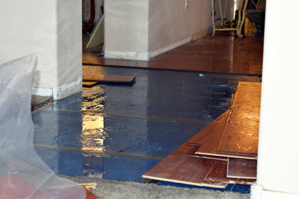 Professional Burst Pipe Cleanup technician working in Winnsboro, TX